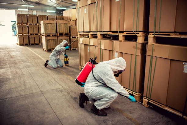 Best Bed Bug Extermination  in Corinth, TX