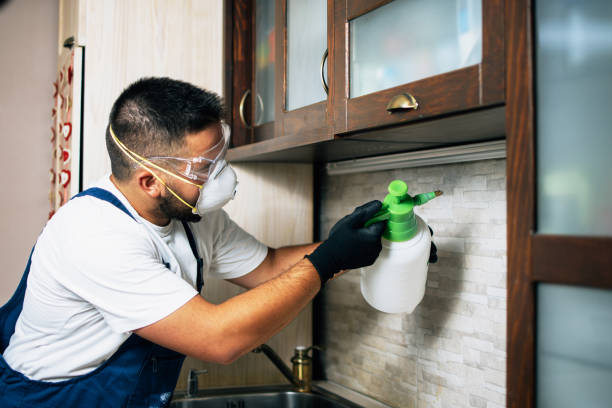 Best Mosquito Control Services  in Corinth, TX