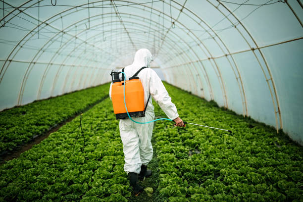 Best Commercial Pest Control Services  in Corinth, TX