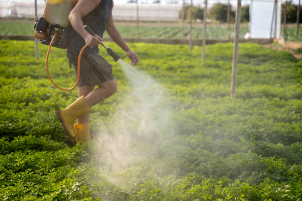 Best Best Pest Control Companies  in Corinth, TX