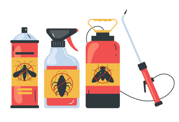 Best Affordable Pest Control Services  in Corinth, TX