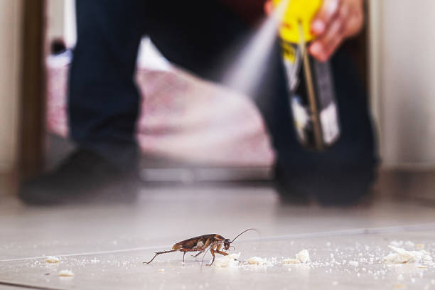 Best Best Pest Control Companies  in Corinth, TX