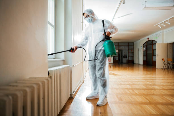 Best Affordable Pest Control Services  in Corinth, TX