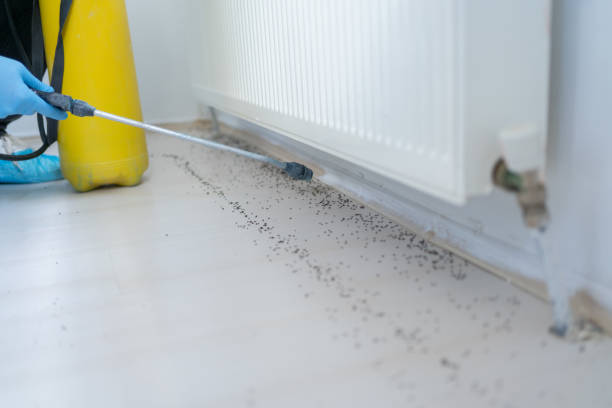 Best Commercial Pest Control Services  in Corinth, TX