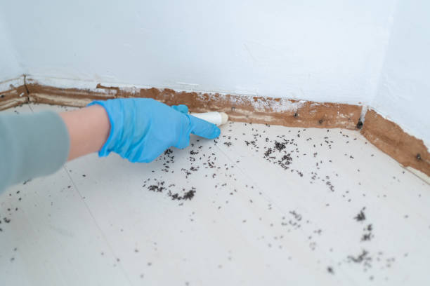  Corinth, TX Pest Control Pros