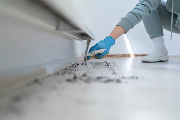 Best Residential Pest Control  in Corinth, TX